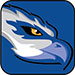 blue osprey logo for the rcc app