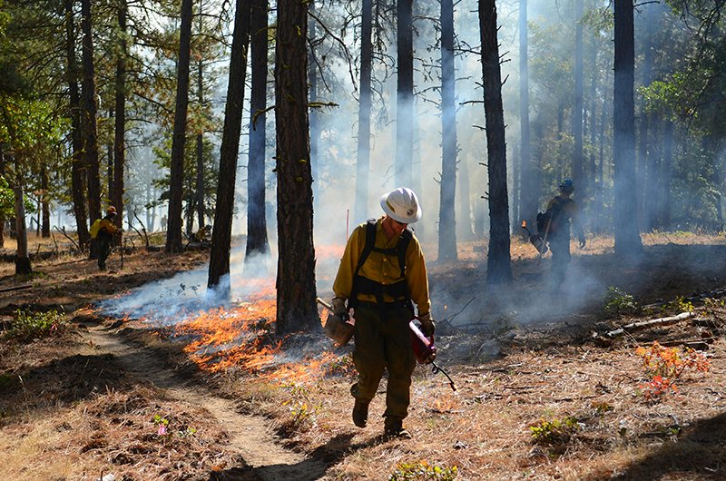 wildland firefighter