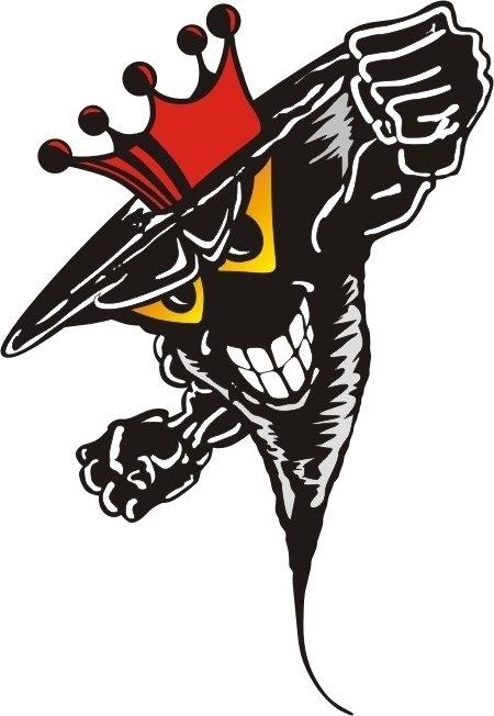 north medford high loogo